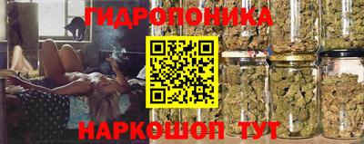 прущие грибы Краснознаменск