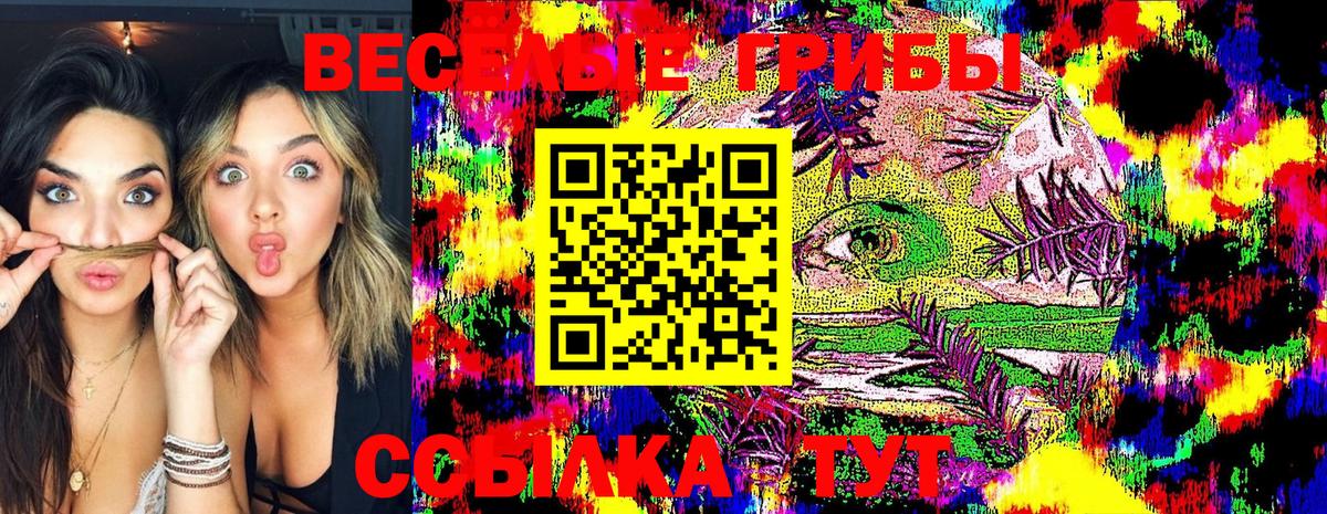 Псилоцибиновые грибы GOLDEN TEACHER Красноармейск