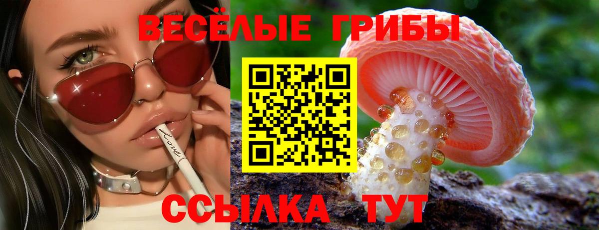 Красноармейск  Галлюциногенные грибы мицелий  Вход с VPN  Псилоцибиновые грибы прущие грибы 